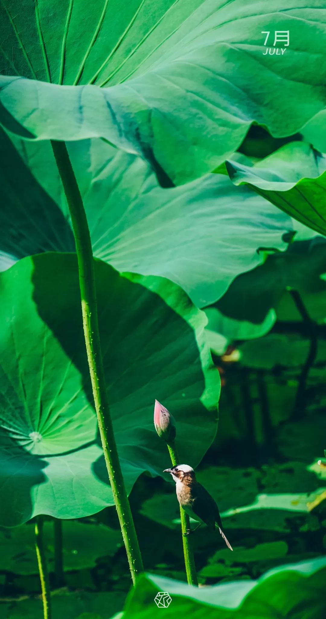 新年横屏壁纸2023超高清壁纸,苏州壁纸横屏