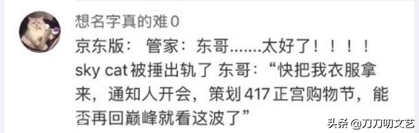 张大奕被富豪怼视频,商界大佬离婚事件