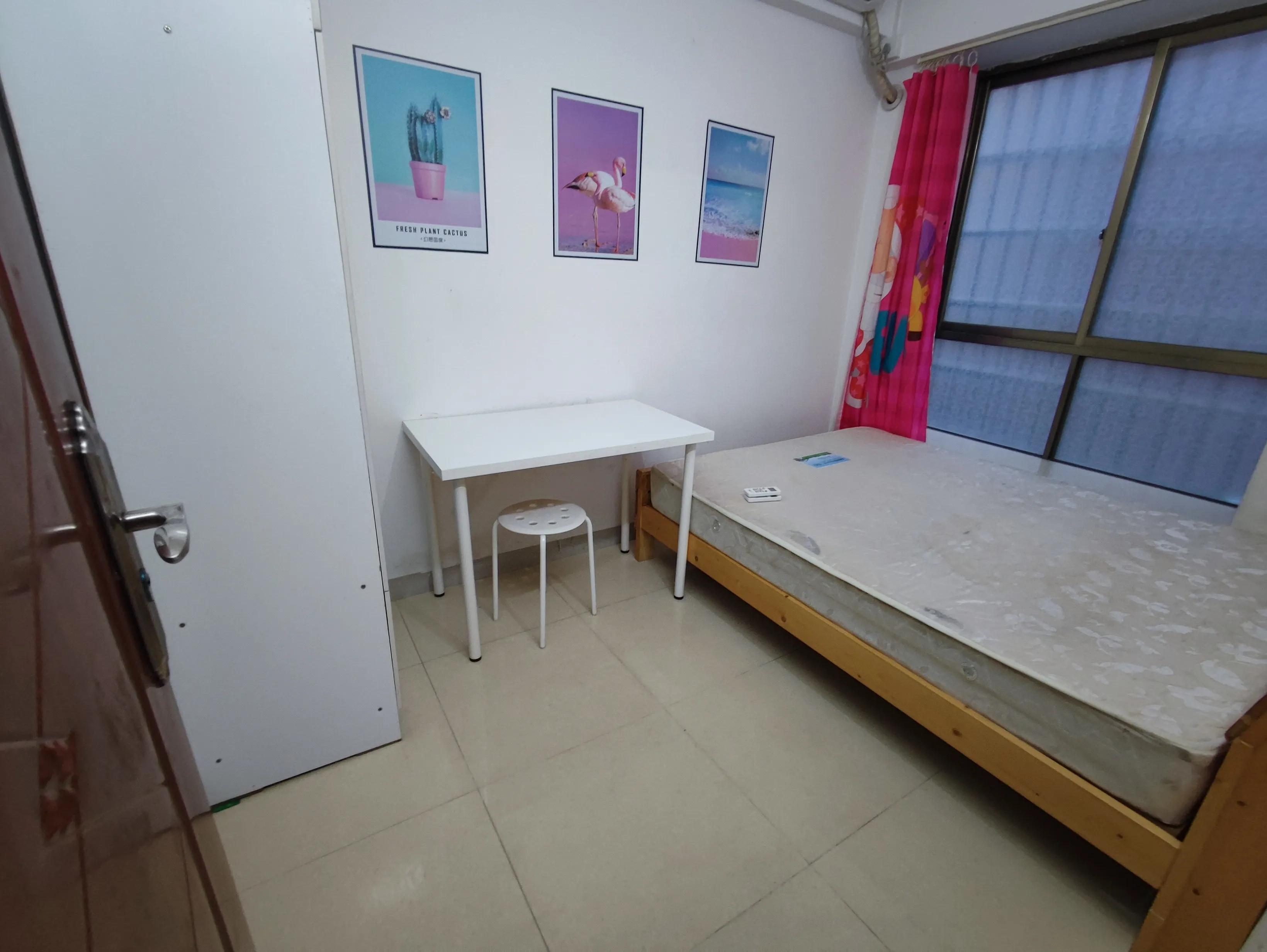 龙归什么时候更新,龙归工厂实拍最新