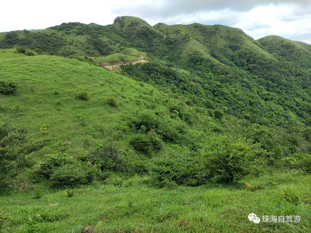 大山峰水牛坪露营记,东岸岭露营徒步