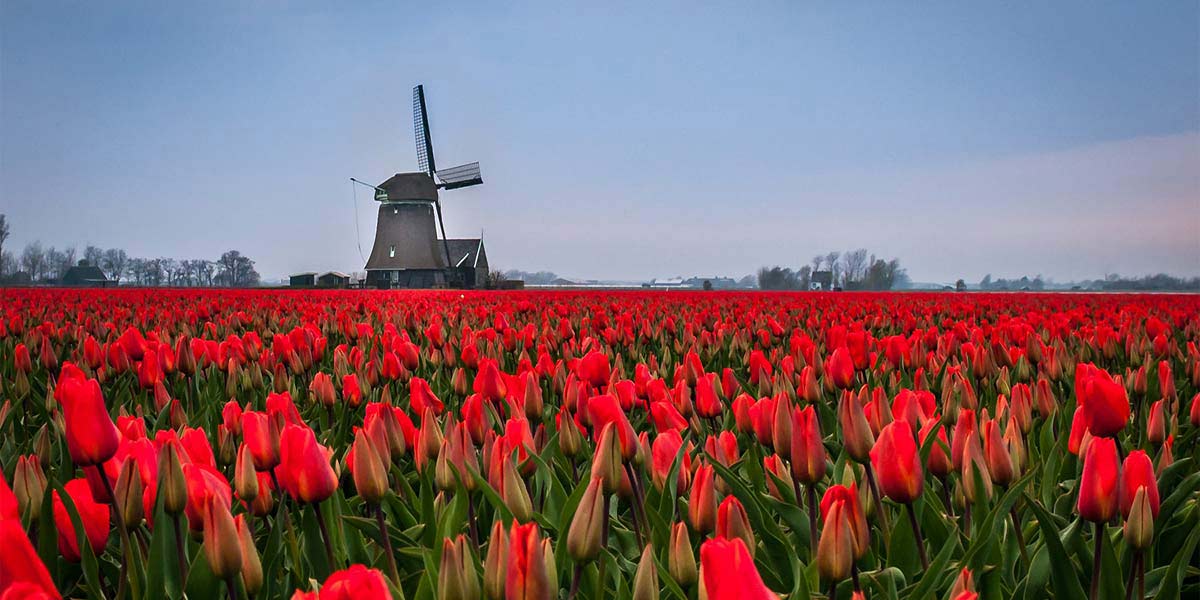 畅玩旅行攻略,畅玩攻略青岛