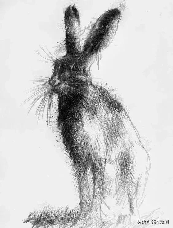 6-12岁儿童素描课程画动物,素描动物教程简单8-12岁