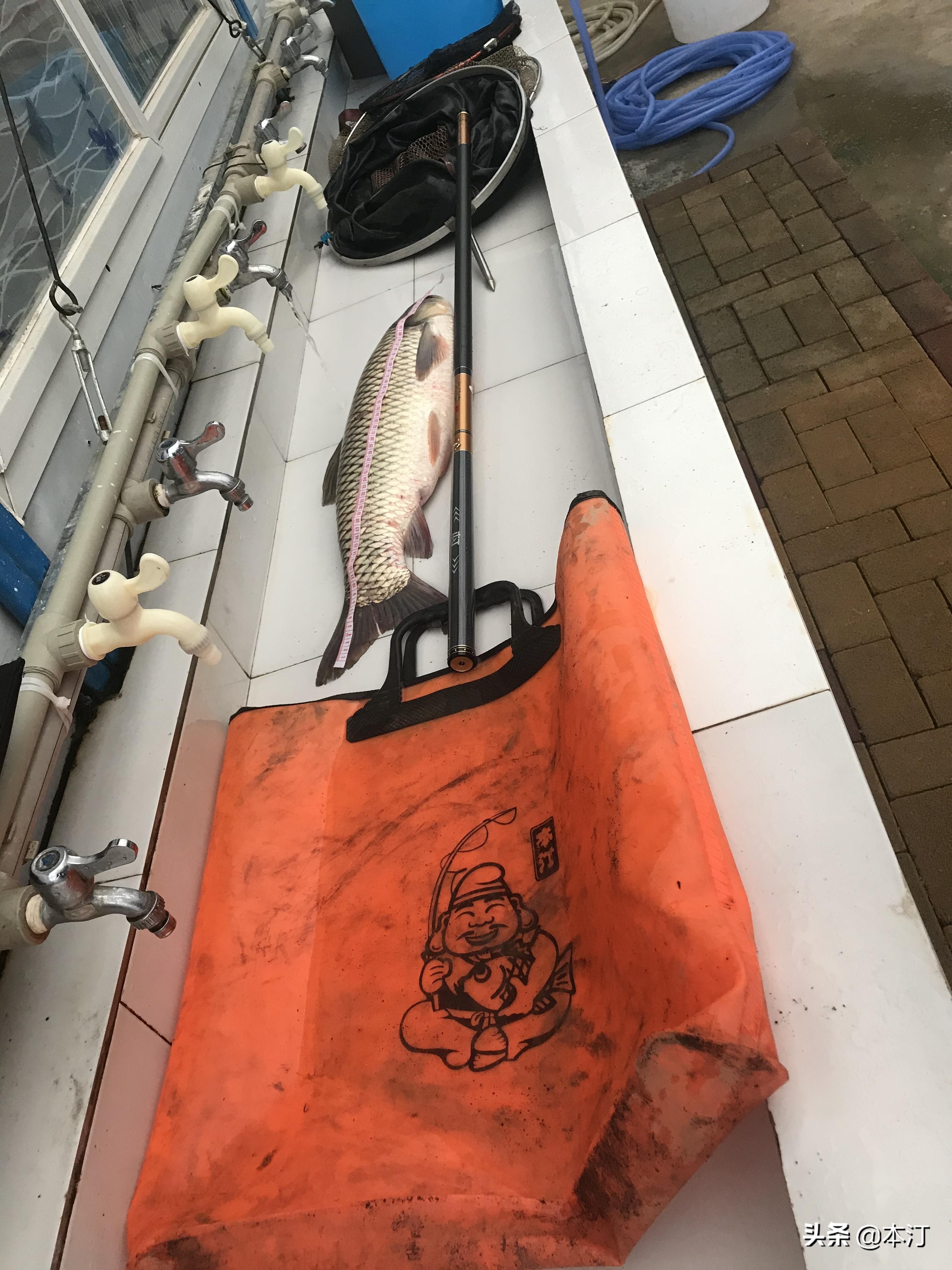 大草鱼我来了！本汀金迦潘强弓开光记