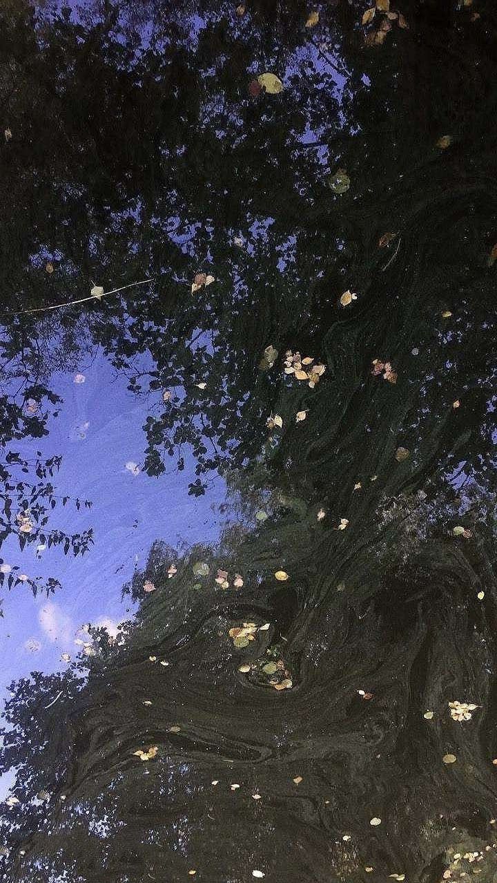 你最舍不得换的壁纸,朋友圈背景图插画