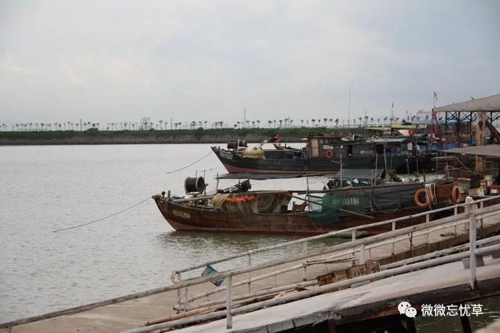 一曲《襄河水》一条流淌在心底的河没有大海的澎湃却从不曾忘记