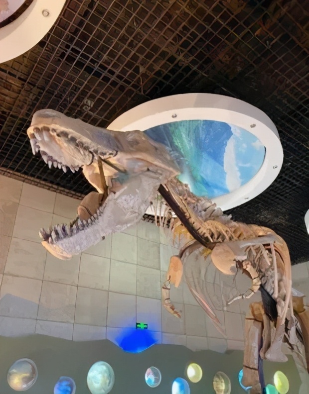 独家整理！青岛周边游最全攻略！自驾3小时内，人少景美还不贵！