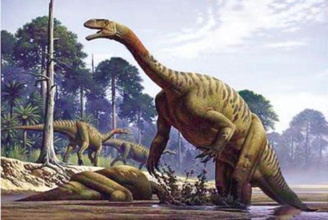 恐龙为什么没有死亡,恐龙为什么可以活着