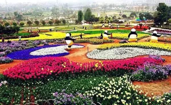 成都周边田园旅游攻略,成都冬季最理想的旅游线路