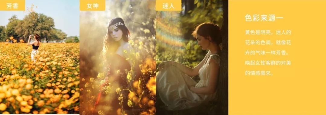 爱诺玛亚产品怎么样,如何打造品牌认知