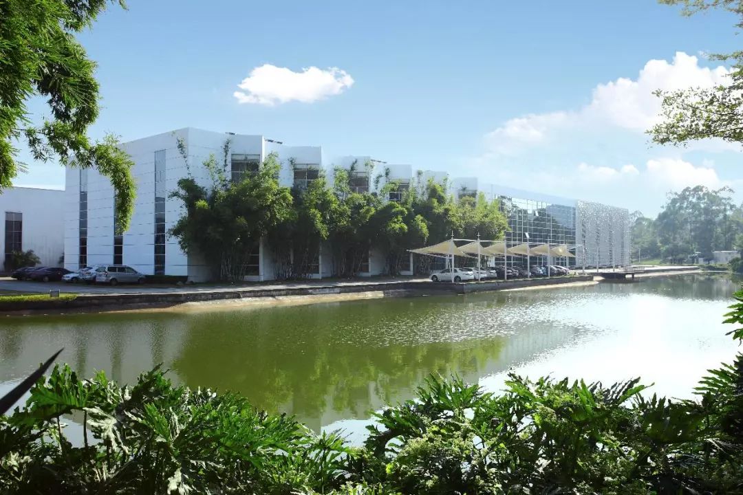 设计大师的经典设计作品赏析,设计大师成长之路