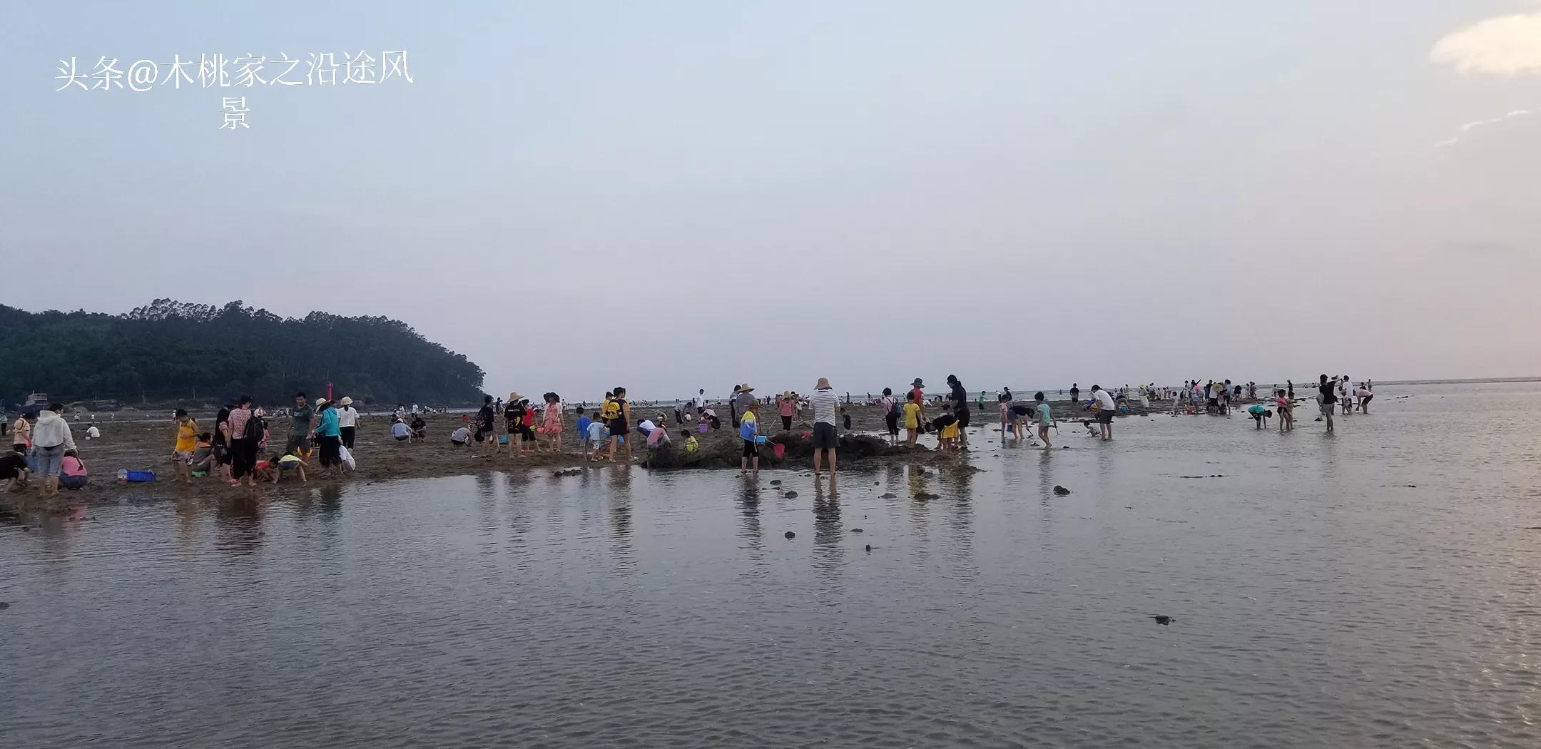 东平赶海沙滩,东平赶海最佳地方