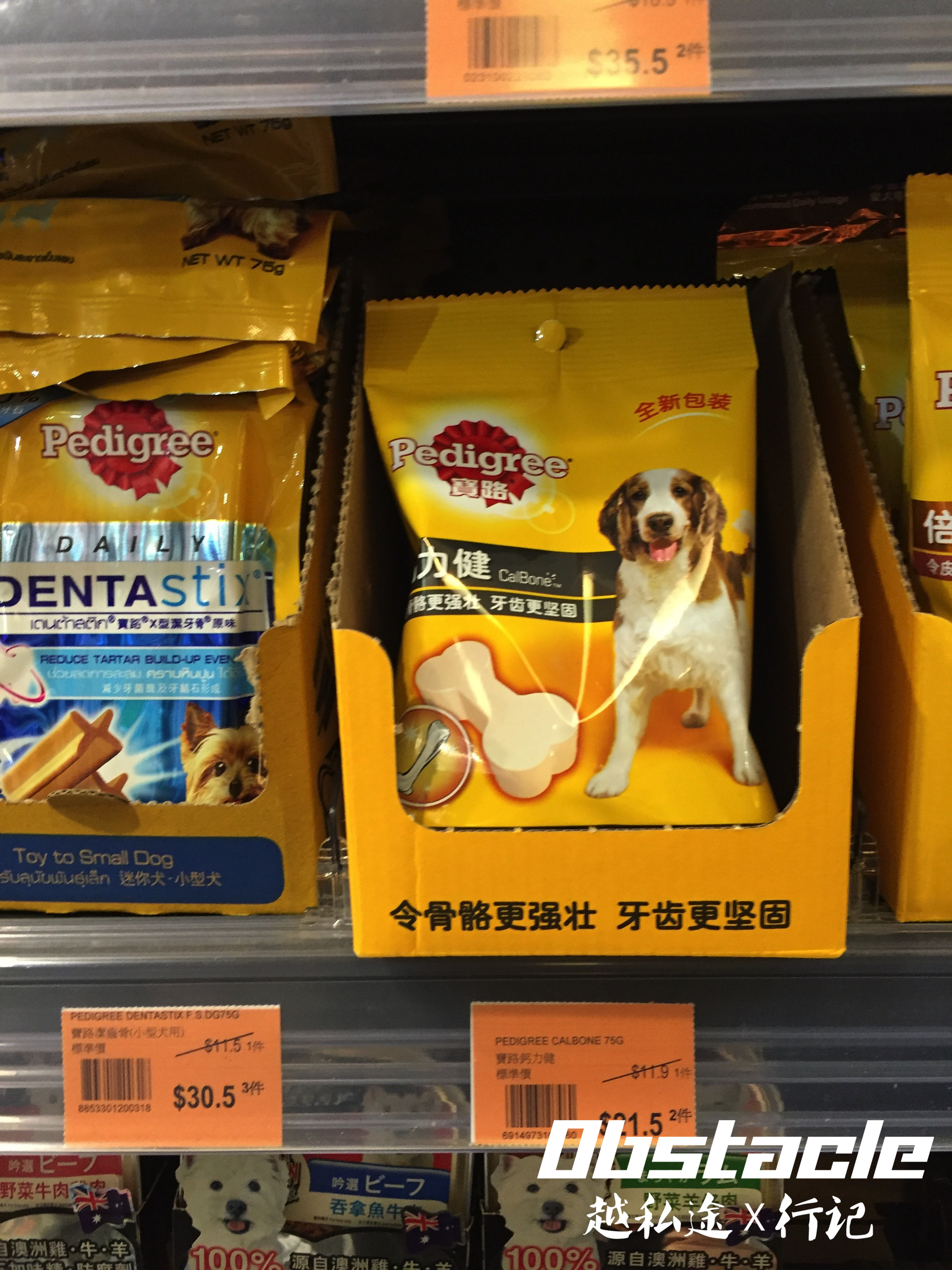 沙田打卡之旅(上编)