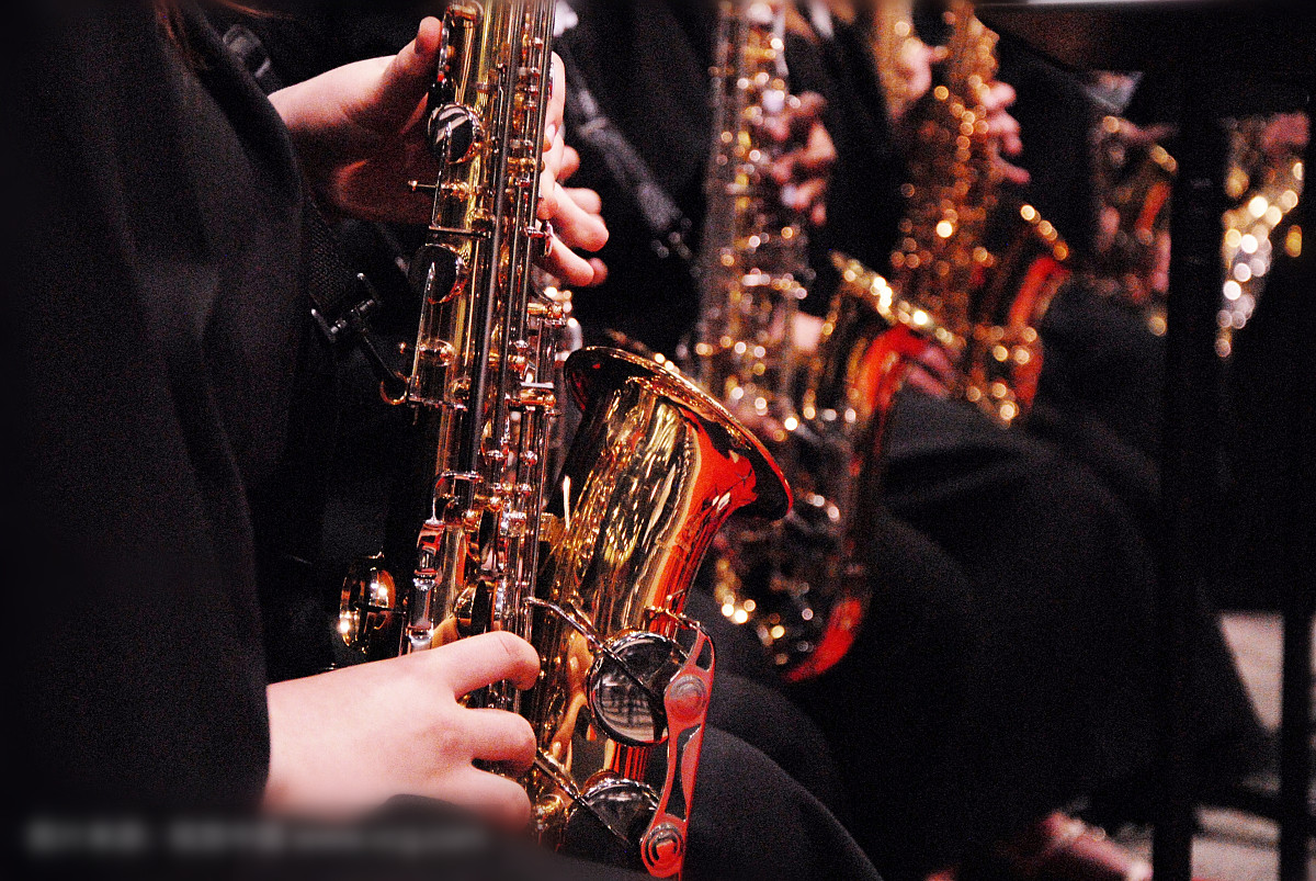 新手入门萨克斯如何选择,初学者如何选择萨克斯