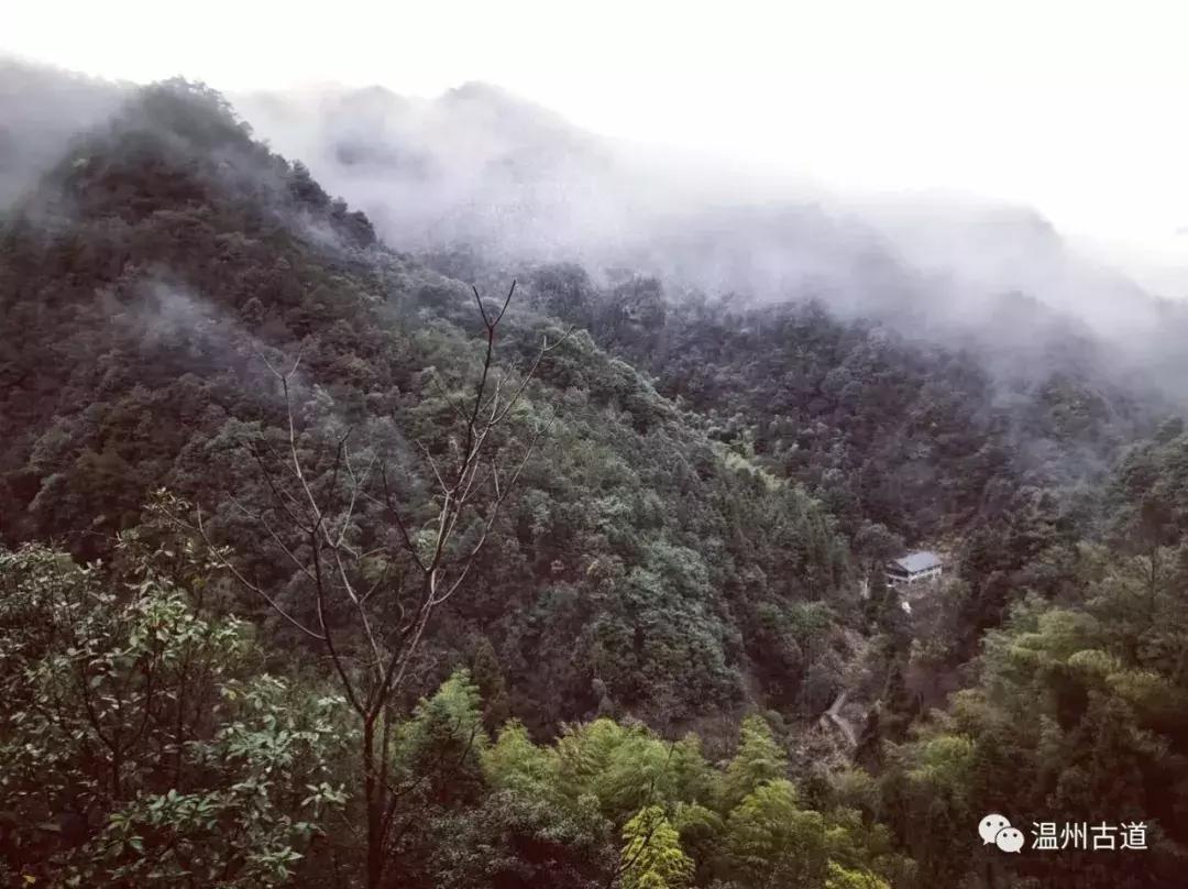 楠溪江好的精品民宿哪家比较好,中国楠溪江