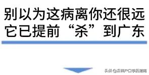 登革热夺走20多条生命,登革热是典型的儿童疾病吗