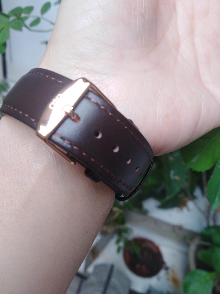 天王手表男士机械表什么样,天王手表咋样