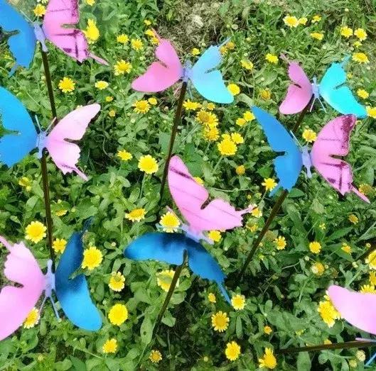 23号湿地嘉年华,湿地公园大庆嘉年华