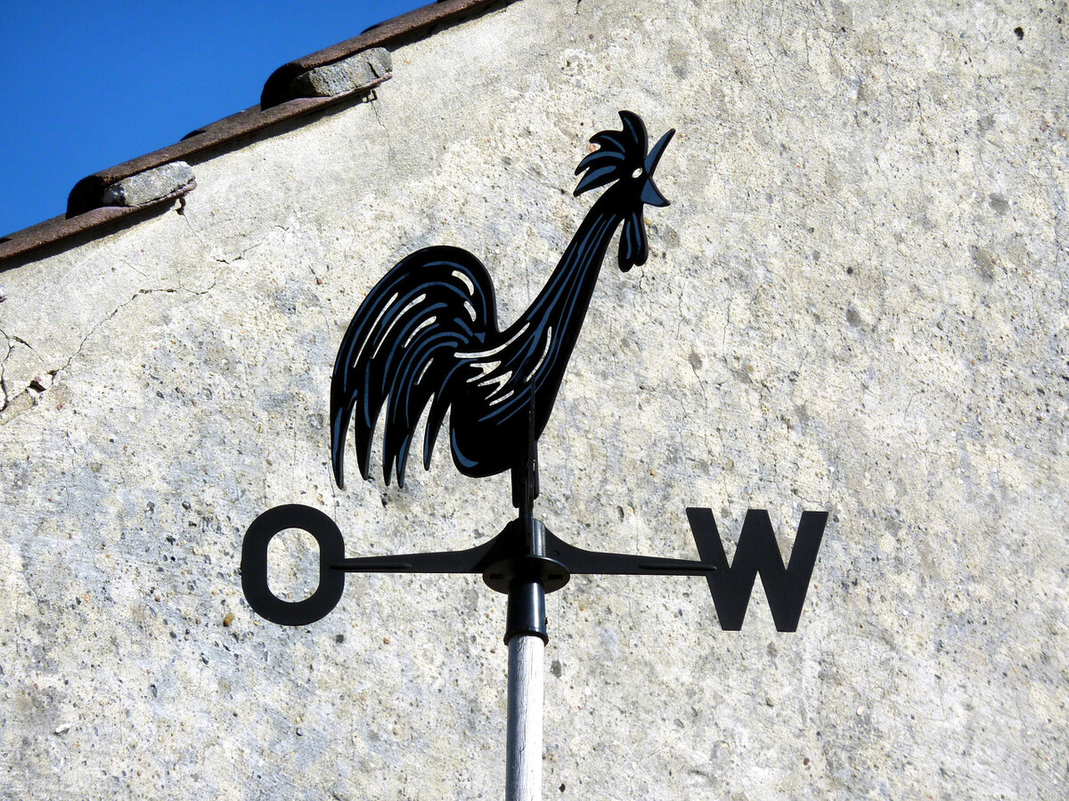 社群营销及社群运营课程,社群营销与社群运营