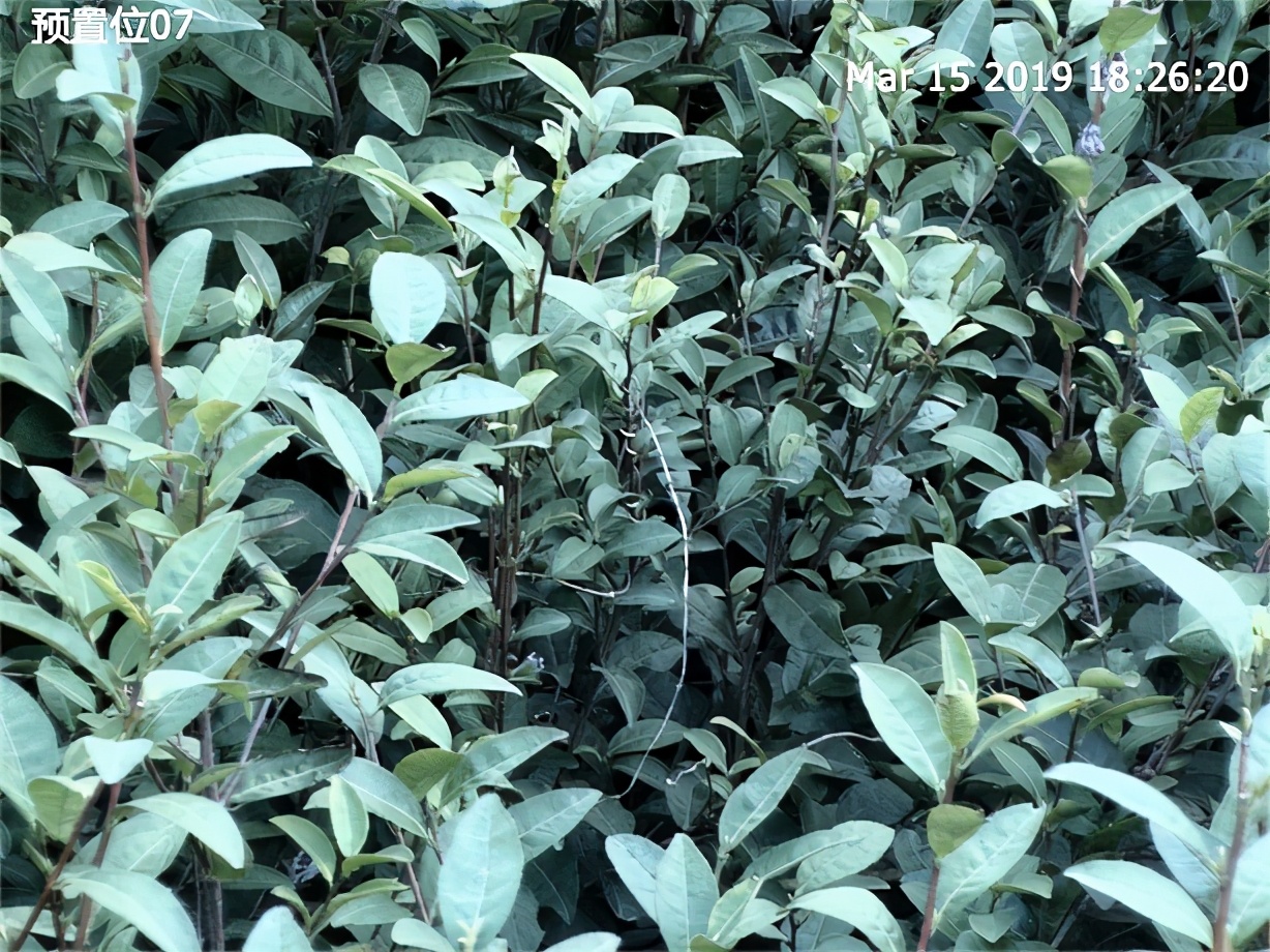 彩色图调亮度,调节图片的色彩