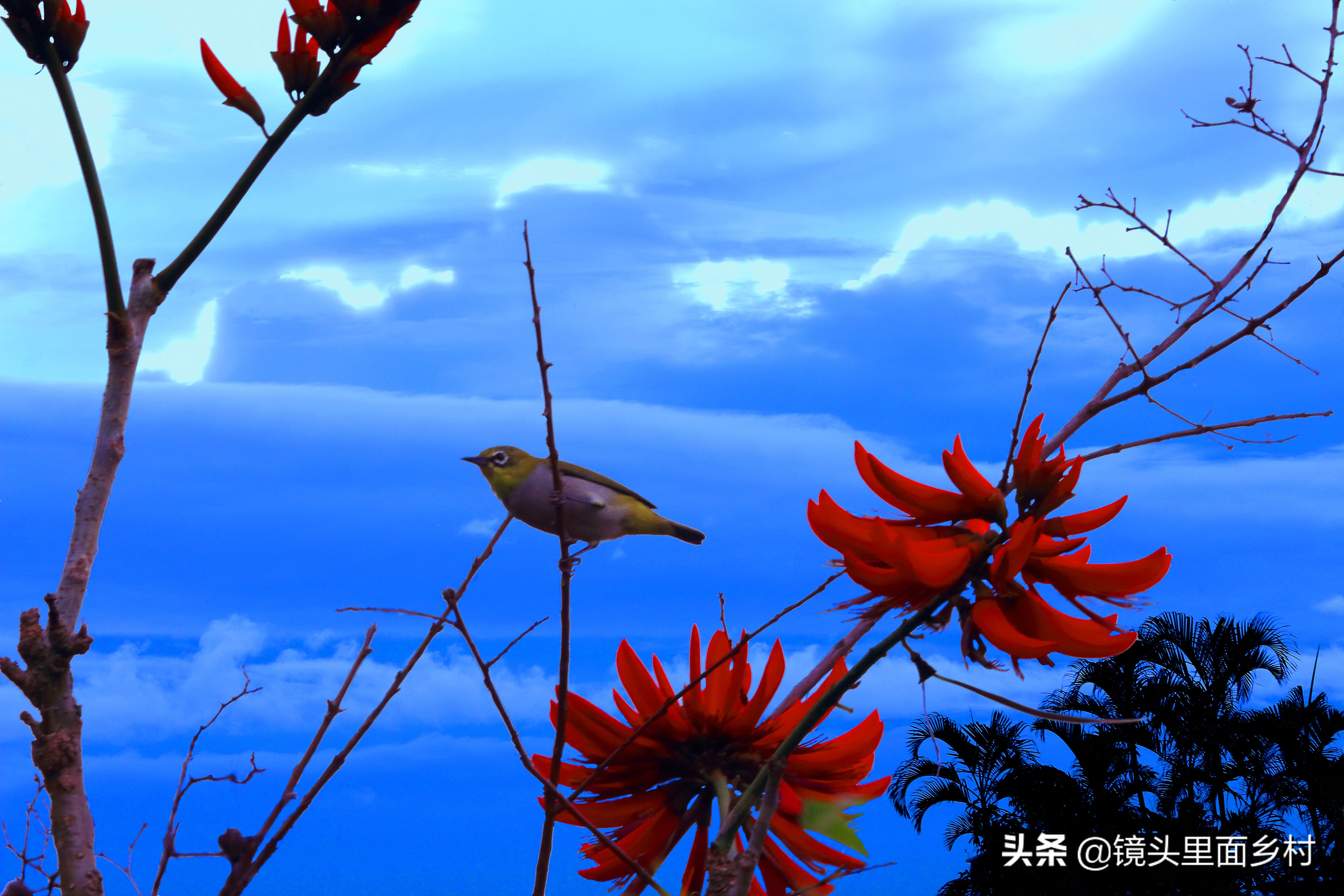 春分节日,节日春分