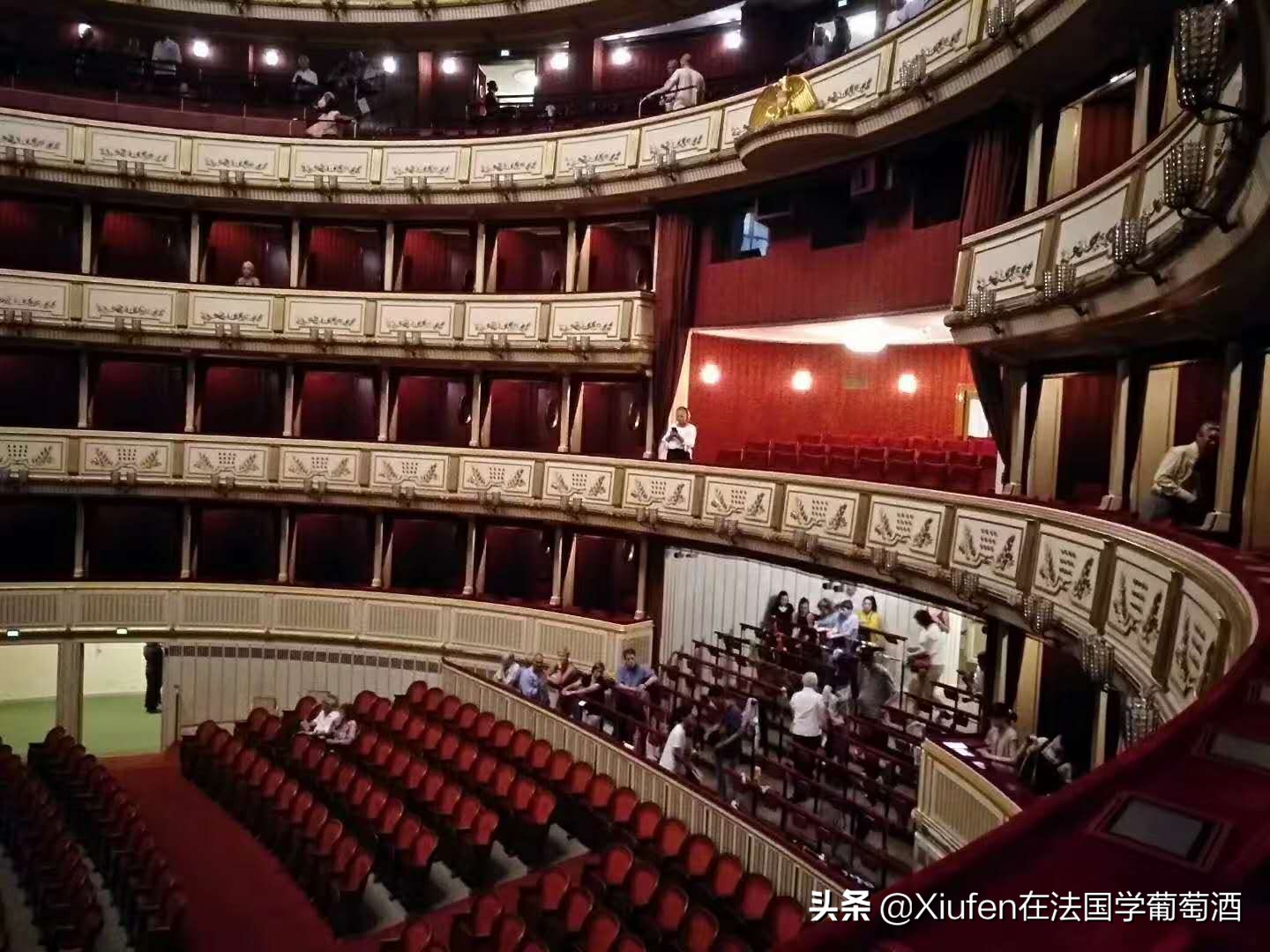 音乐之都维也纳的收获与体验,音乐之都维也纳详细表述