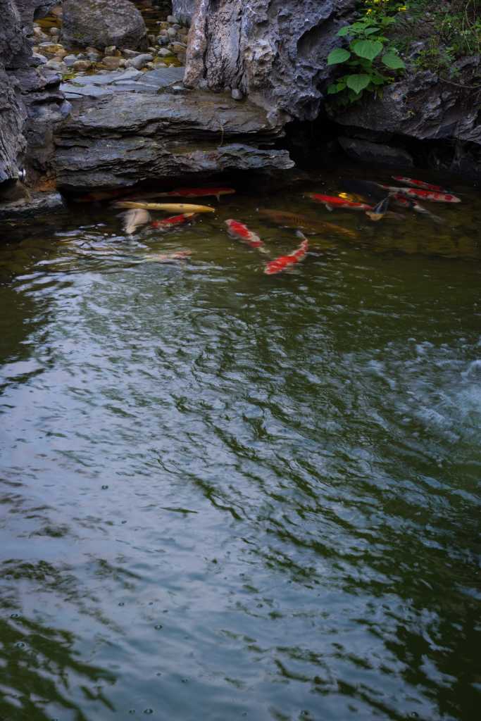 西溪里禅意庭院效果图,西溪湿地新荣记会所