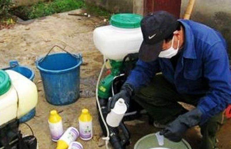 硼砂和硼肥哪个对果树效果好,硼砂就是硼肥吗