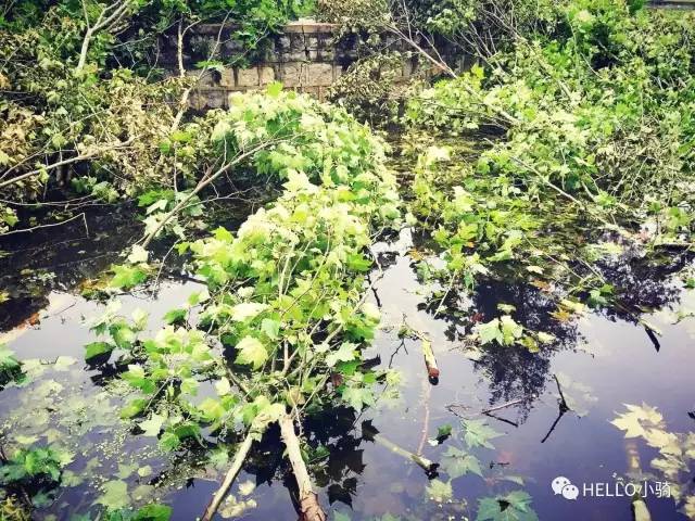 20年前的安徽理工大学,安徽理工大学辉煌校史