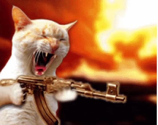 饮水机爬出蟑螂,饮水机老是有蟑螂进去怎么办