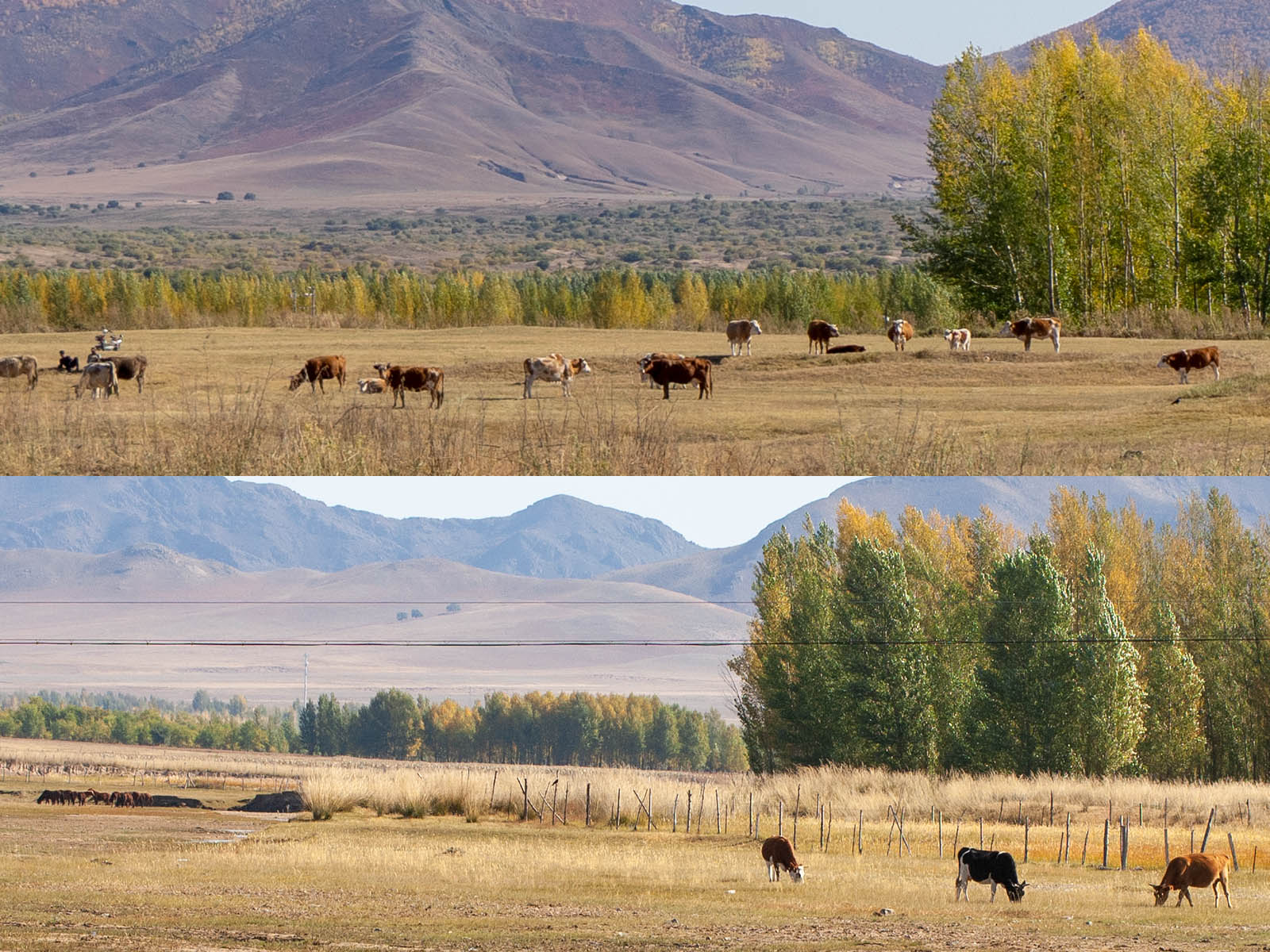 旅行摄影如何配镜头？详解“狗头”18-55mm是不是真香