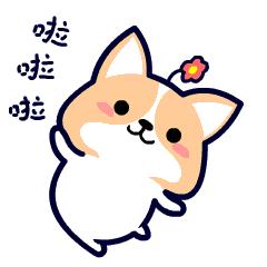 我们查看了10位95后双十二的购物车……｜带货情报局⑦