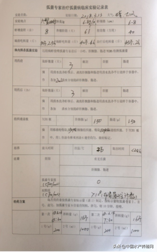 中草药制剂HCV弧菌病能防治、修复肝胰腺，广东省农业力推技术