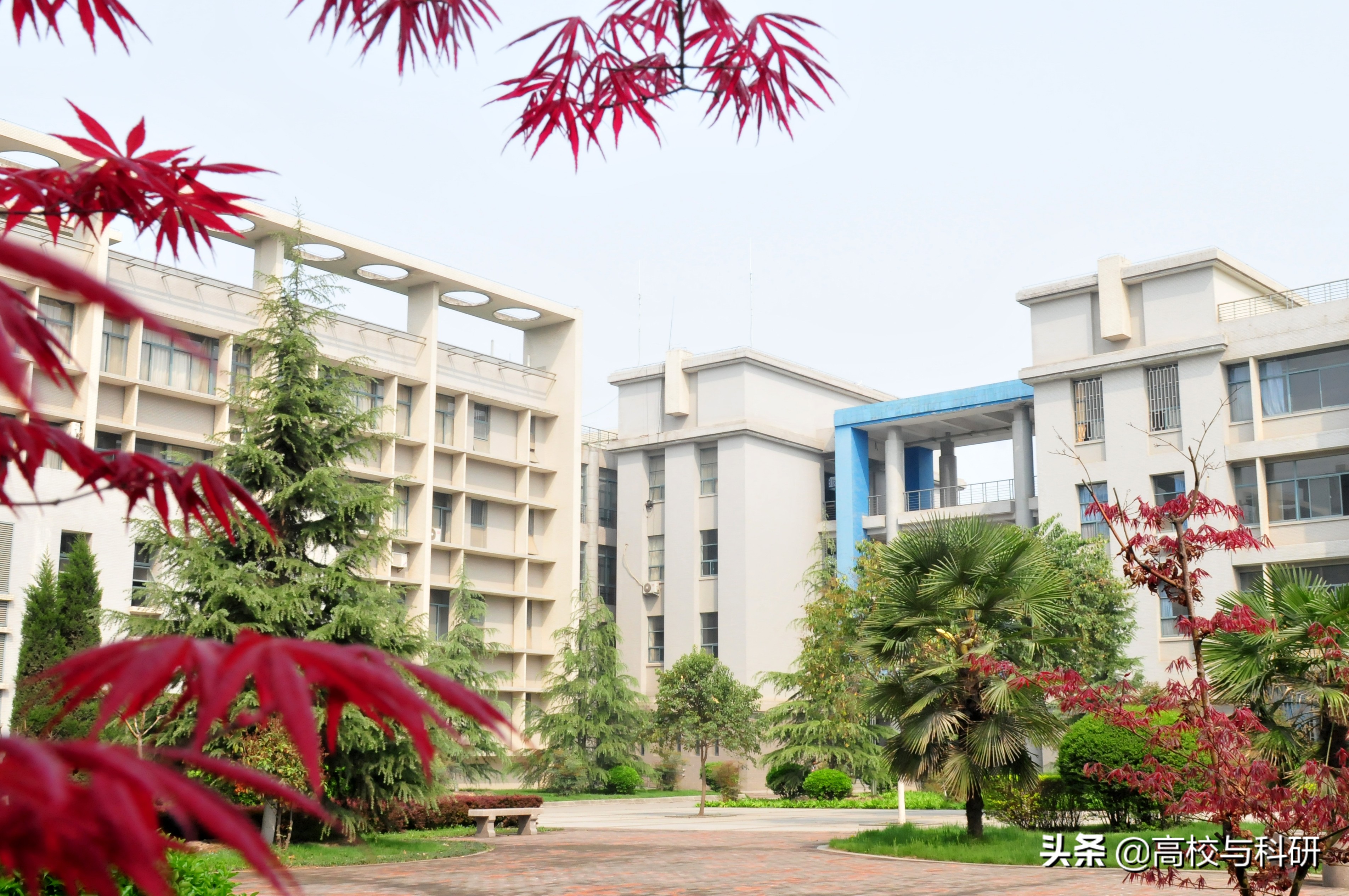 十大热门专业金融学,想学金融最好的学校