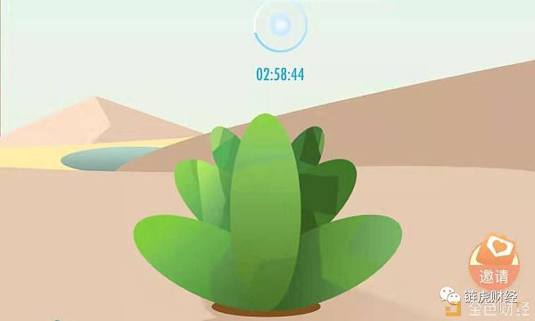 新浪和绿洲区别,新浪绿洲旅游攻略