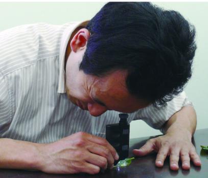 工具放大镜108张锦集