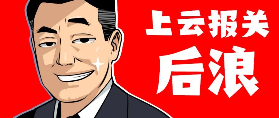 出口货物未清关退运,德国售后问题退运维修怎么操作