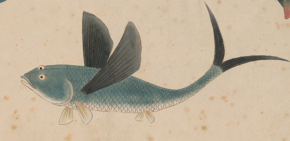 世界那么大我想去看看读书笔记,世界那么大我想去看看古诗