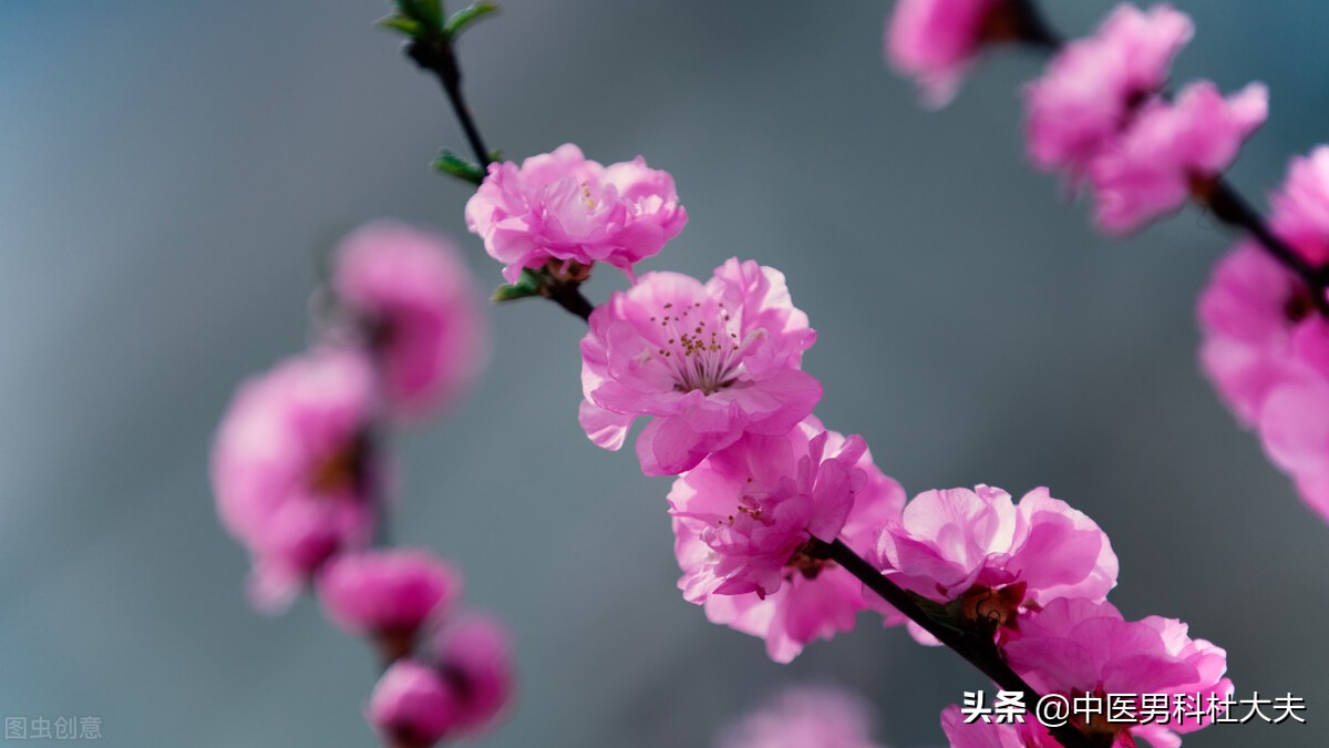 肾虚怕冷失眠盗汗脚心出汗,畏寒怕冷燥热盗汗什么原因