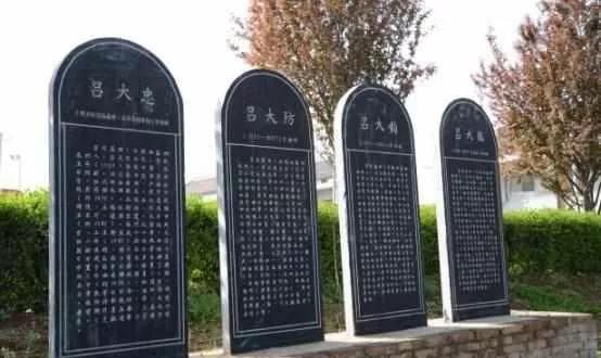 白毫银针原生态白茶,白茶白毫银针价格表大全