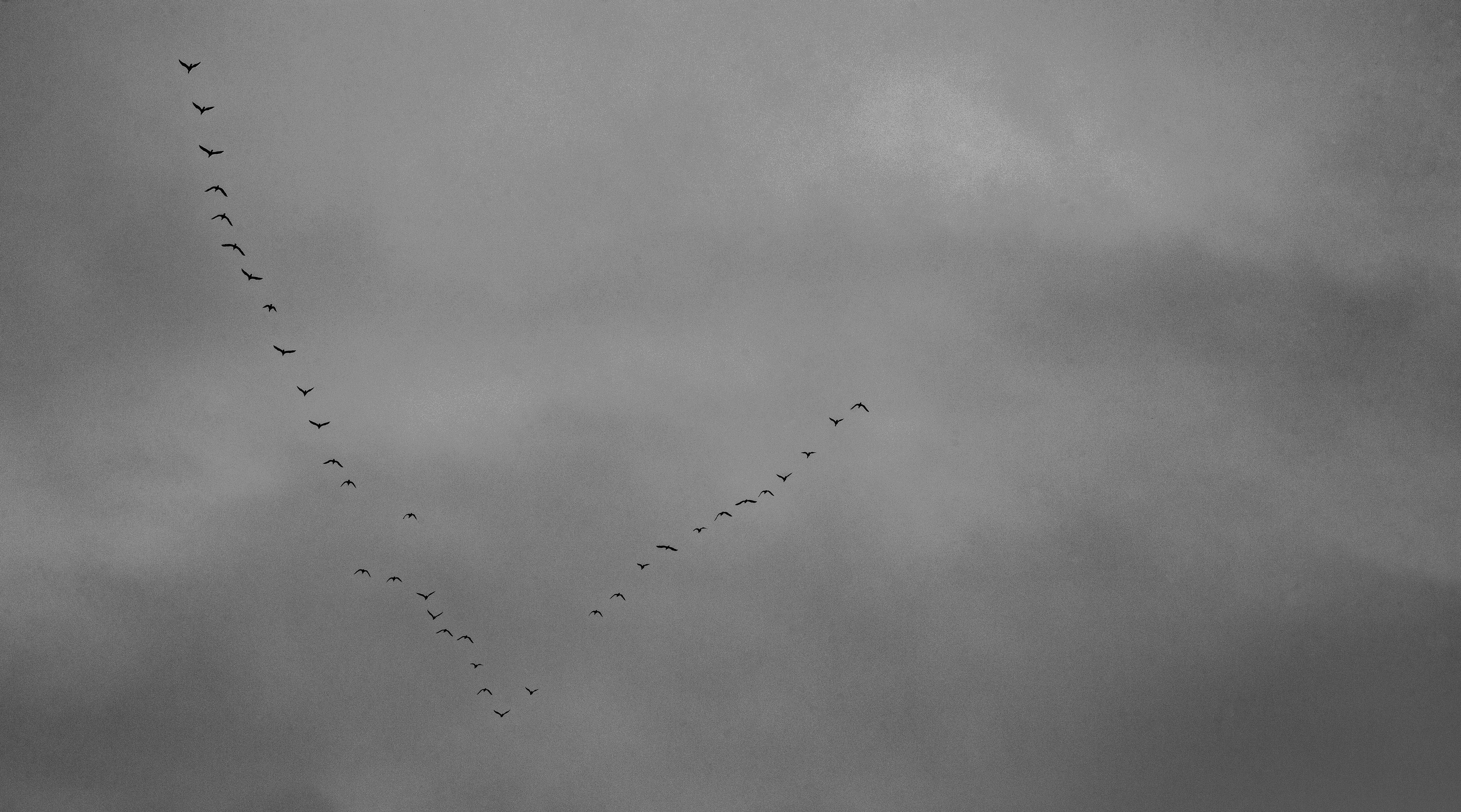 如何拍出艺术性人像摄影,如何拍出有深度的摄影作品