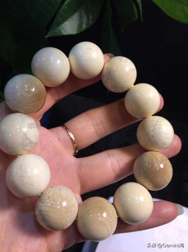 猛犸象牙把玩方法,猛犸象牙的来历