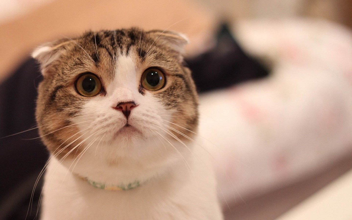 不想和男朋友的朋友合租,不想男朋友和别人合租