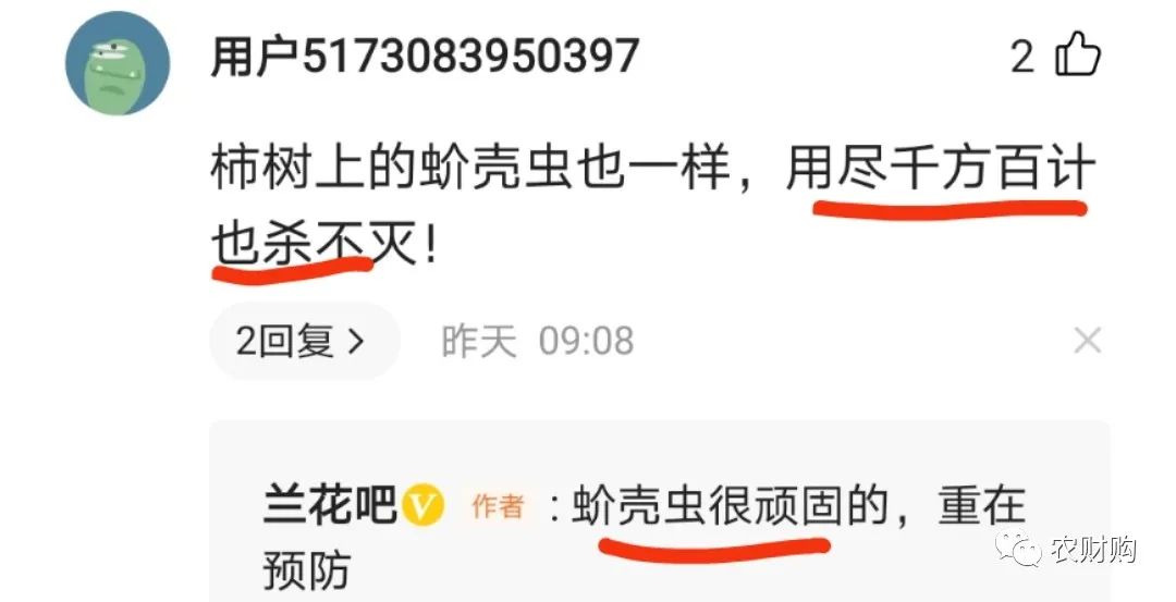 治蚧壳虫的土方法,用药指南蚧壳虫