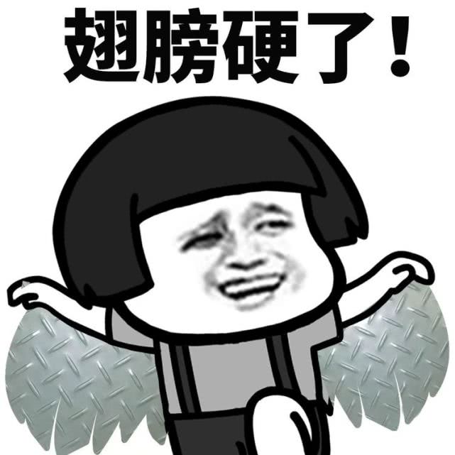 你见过的最搞笑的gif,搞笑gif开心一刻单身也挺好