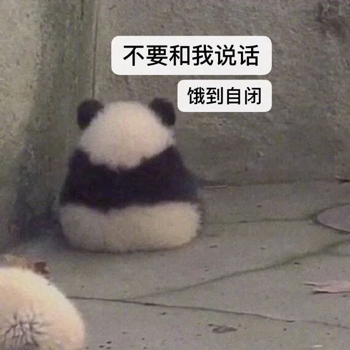 来自外卖小哥的霸道段子,关于外卖小哥的挺火的段子