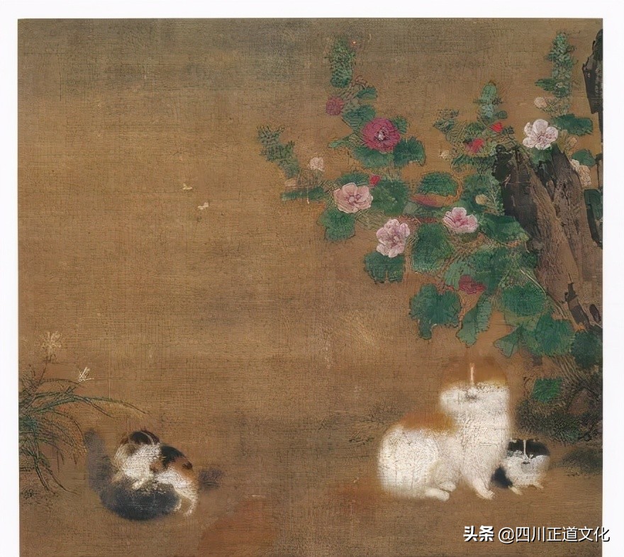 猫的故事,猫的故事视频