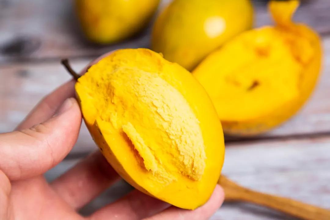 长在树上的鸡蛋果图片,长在树上的鸡蛋