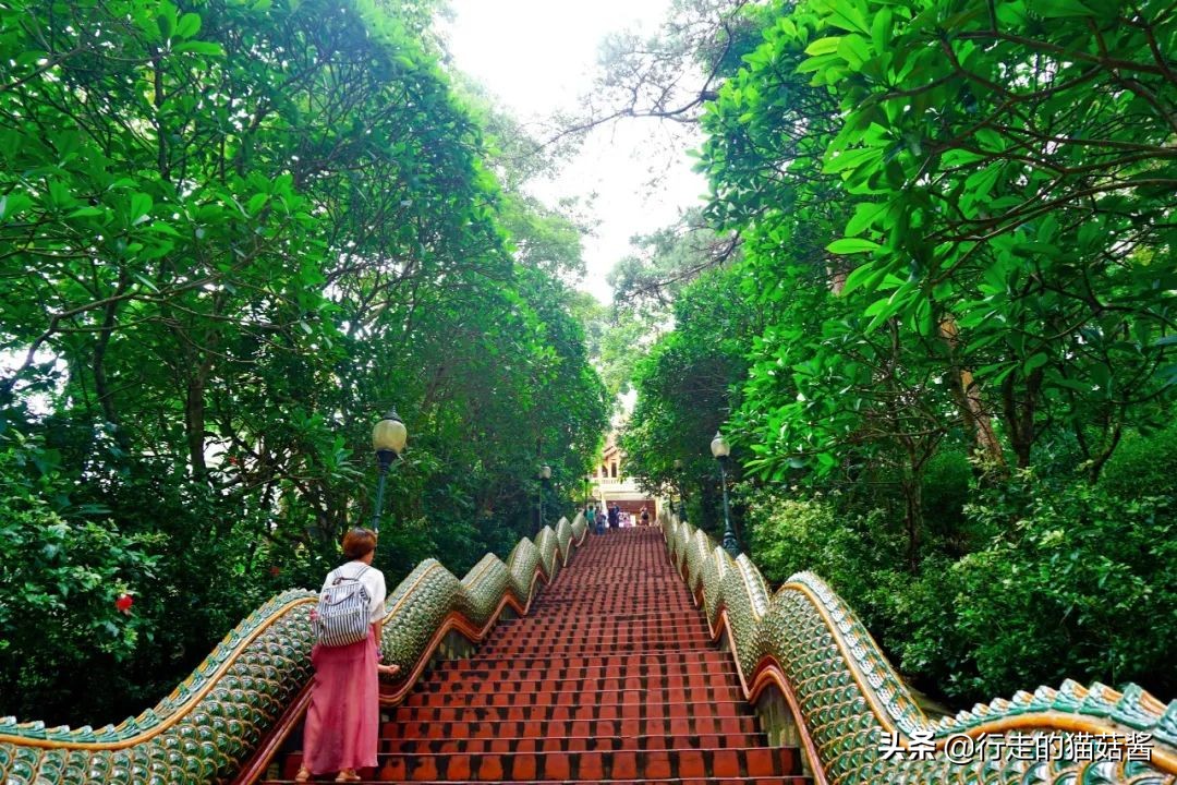 清迈吃喝住行自驾攻略,2019清迈吃住攻略