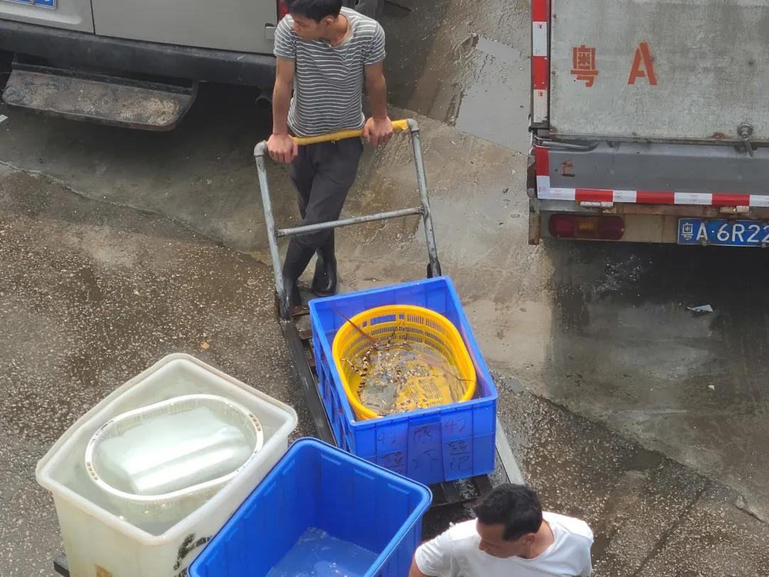 去菜市场吧！|黄沙，负名之下书尽鲜活百态