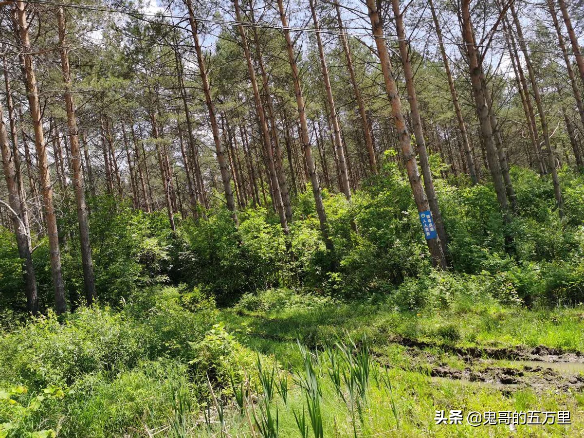 鬼哥的五万里D232骑记：不见可欲，民心不乱-上（桦南县-佳木斯）